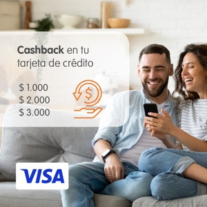 imagen de CRÉDITO EN TARJETA VISA